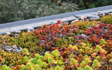 the cost of Woodsden green roof installation