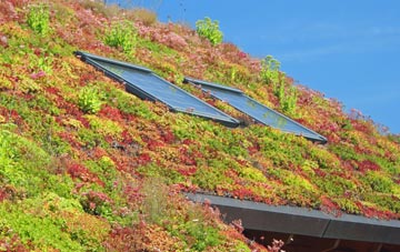 Woodsden living roof systems