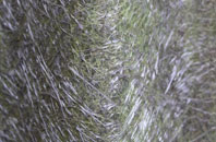 Woodsden fibreglass roof work